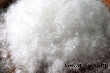 হাঁসের ডাউন এবং লঘু বালিশ ঢোকান, হোটেল বা বাড়ি ফেদার নিচে বালিশ