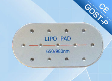 অ আক্রমণকারী Lipo লেজার স্লিমিং মেশিন, চর্বি মহিলাদের জন্য মেশিন অপসারণের